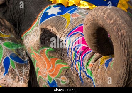 Tête peinte d'un éléphant à Jaipur elephant festival annuel Banque D'Images