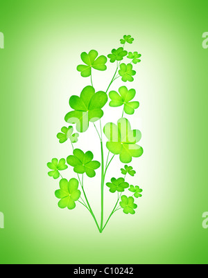 Usine de trèfle vert, st.Patrick décoration isolé sur fond vert avec l'espace de texte Banque D'Images