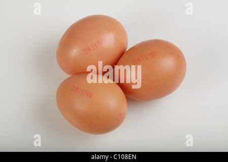 Trois oeufs brun sur un fond blanc avec les produits vendus Banque D'Images