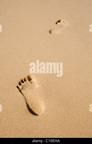 Des traces de pas dans le sable Banque D'Images