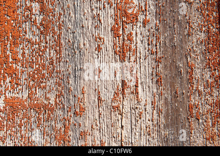 L'écaillage de la peinture orange fond close up Banque D'Images