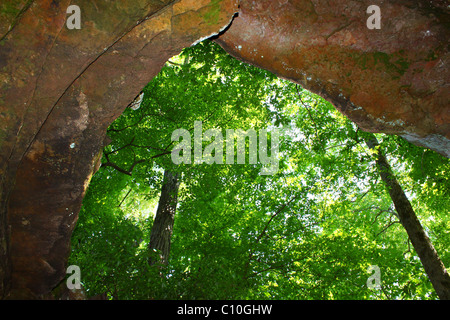 Cave Spring - Natchez Trace Parkway Banque D'Images