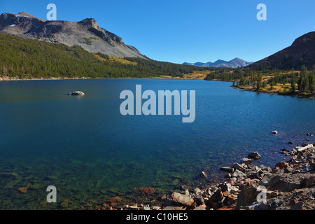 Le bois et les pierres sur la côte de Tioga lake bleu foncé dans le parc Yosemite, USA Banque D'Images