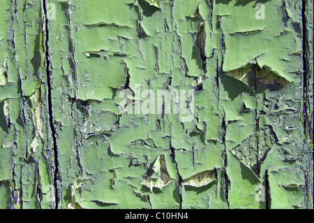 L'écaillage de la peinture verte close up contexte Banque D'Images