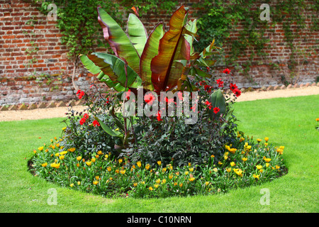 Jardin Tropical plantes en jardin anglais, y compris la banane Abyssin rouge Banque D'Images