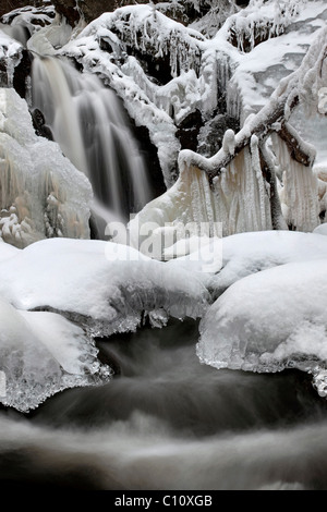 Falkauer cascade Wasserfall avec de la glace dans la Forêt-Noire, Bade-Wurtemberg, Allemagne, Europe Banque D'Images