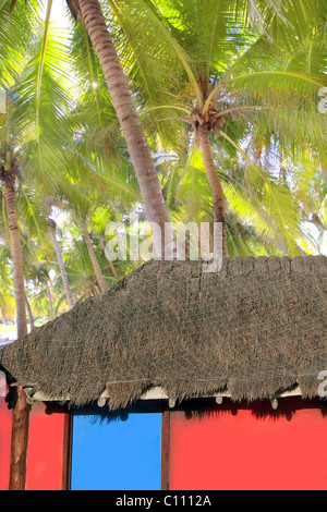 Caraïbes hut colorés rouge chambre cocotiers background Banque D'Images