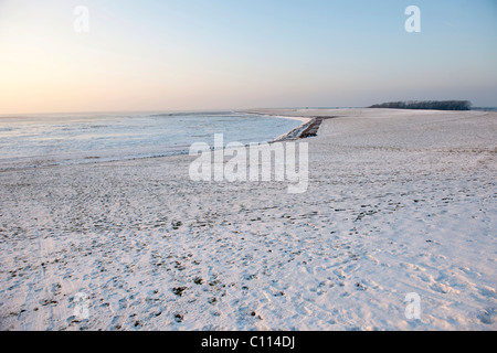 La terre au large d'une digue et glacées des vasières, hiver sur l'île de Nordstrand, Site du patrimoine naturel mondial de l'UNESCO Banque D'Images