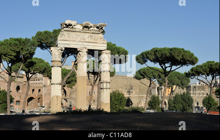 Colonnes du temple de Vénus Génitrice sur le forum de César en avant du forum de Trajan, Rome, Italie, Europe Banque D'Images