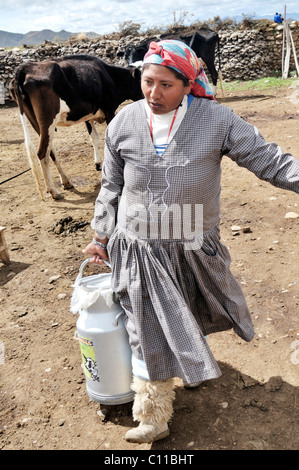 L'élevage de vaches laitières, la femme à bidon de lait, la Bolivie Altiplano highland, Oruro, Bolivie, Ministère de l'Amérique du Sud Banque D'Images