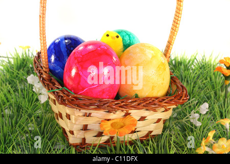 Panier de Pâques avec les oeufs de Pâques et les poussins sur un pré vert Banque D'Images