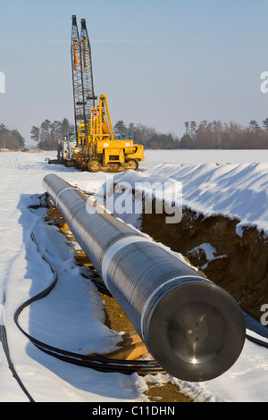 Tuyaux d'un pipeline en face de chenilles pour pose d'un pipe-line, Marchfeld, Basse Autriche, Autriche, Europe Banque D'Images