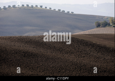 Paysage de Toscane, près de Pienza, Toscane, Italie, Europe Banque D'Images