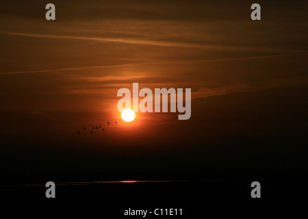 Picardie, St Valery sur Somme, France Banque D'Images