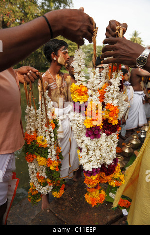 Des guirlandes de fleurs, Thaipusam festival à Mumbai, Chennai, Tamil Nadu, Inde du Sud, Inde, Asie Banque D'Images