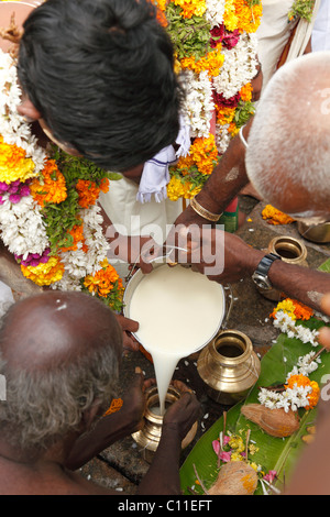 Le lait comme une offrande, Thaipusam festival à Mumbai, Chennai, Tamil Nadu, Inde du Sud, Inde, Asie Banque D'Images