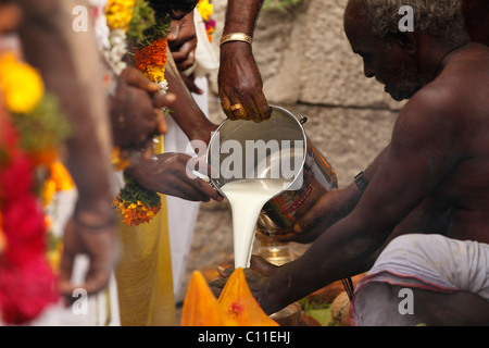 Le lait comme une offrande, Thaipusam festival à Mumbai, Chennai, Tamil Nadu, Inde du Sud, Inde, Asie Banque D'Images