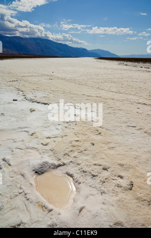 Polygones pan sel Devil's Golf course Badwater Road Death Valley National Park, California, USA Banque D'Images