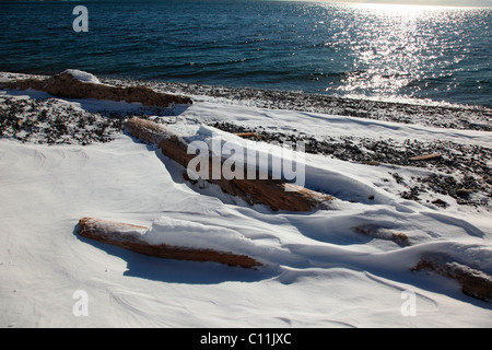 Neige sur du bois flotté sur la plage Banque D'Images