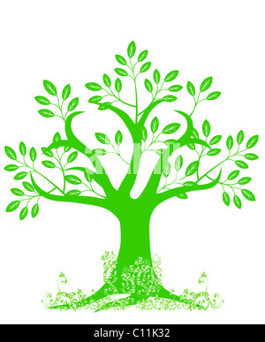 Résumé La silhouette des arbres avec des feuilles et des vignes sur fond blanc Banque D'Images