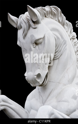 Sculpture en pierre à cheval vue avant de particules reconstitution d'un chef-d'œuvre de Michelangelo Banque D'Images