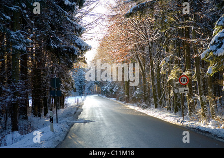 La route qui traverse un hiver ensoleillé de la forêt mixte, Bavaria, Germany, Europe Banque D'Images