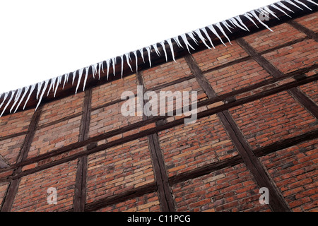 Rangées de glaçons suspendus à un mur à colombages, Quedlinburg, Saxe-Anhalt, Schleswig-Holstein, Allemagne, Europe Banque D'Images