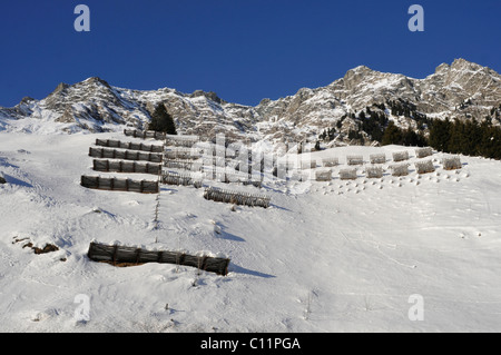 Une protection contre les avalanches sur col Majola, Val Bregaglia, Grisons, Suisse, Europe Banque D'Images