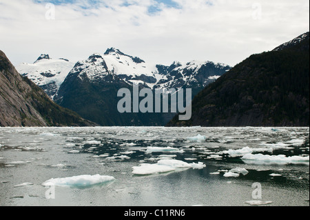 De l'Alaska. Iceberg dans la baie de LeConte, sud-est de l'Alaska. Banque D'Images