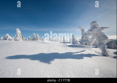 La figure de l'ombre, l'hiver sur le mont Brocken, dans le Harz, noir et blanc, Blocksberg Mountain, parc national de Harz (Saxe-Anhalt) Banque D'Images