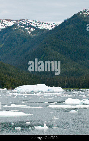 De l'Alaska. Iceberg dans la baie de LeConte, sud-est de l'Alaska. Banque D'Images