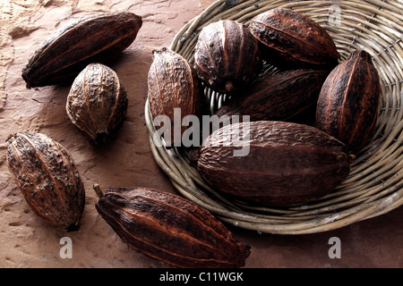 Les fèves de cacao, embout à partir d'une plaque en osier dans le grès Banque D'Images