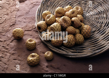 Fruits séchés de Salak Salacca (pointe), à partir d'une plaque en osier dans le grès Banque D'Images