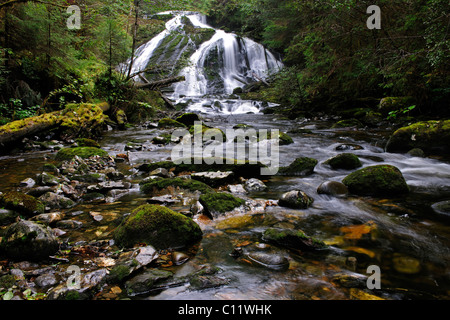 Cascade de la forêt tropicale du Pacifique, Canada Banque D'Images