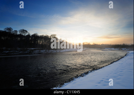 L'humeur du matin à l'inondation de la rivière Isar, Isarauen, près de Geretsried, Bad Toelz-Wolfratshausen, Haute-Bavière, Bavière Banque D'Images