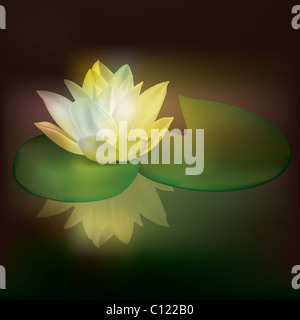 Abstract floral illustration avec Lotus sur dark Banque D'Images