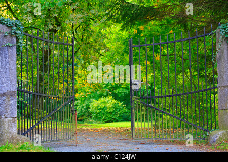 Porte d'entrée en fer forgé d'un vieux cimetière Banque D'Images