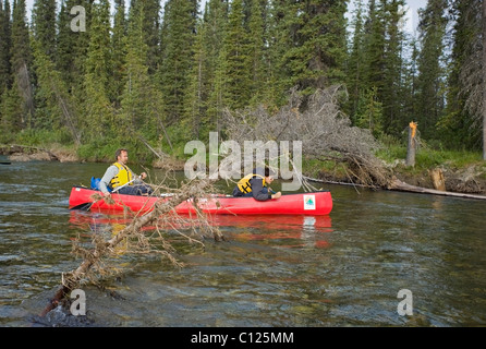 Deux hommes dans un canoë, kayac Upper Liard River, en passant, arbres surplombant obstacle, Territoire du Yukon, Canada Banque D'Images