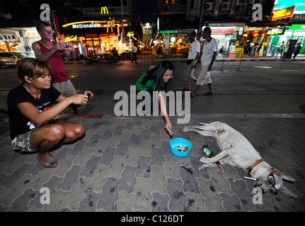 Sleeping Dog, avec une bouteille de bière et de cigarettes Banque D'Images