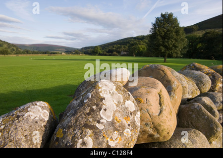 Un mur en pierre sèche fournit une limite pour un Yorkshire Dales'. Banque D'Images