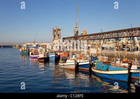 V & A Waterfront, port de pêche, bateaux de pêche, Cape Town, Western Cape, Afrique du Sud, l'Afrique Banque D'Images