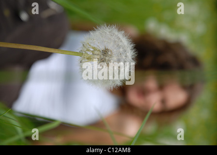 Le pissenlit et jolie fille sur backbgound floue. Banque D'Images