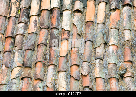 Ancienne poterie céramique tuiles en terre cuite sur maison rurale sur La Gomera, Îles Canaries, Espagne Banque D'Images