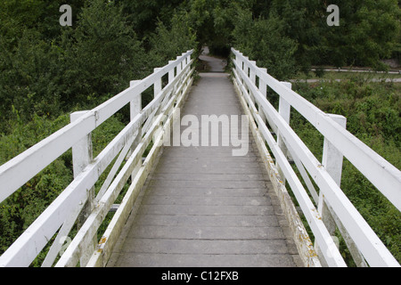 Bridge crossing river Cuckmere le long de South Downs Way, East Sussex, England, UK Banque D'Images