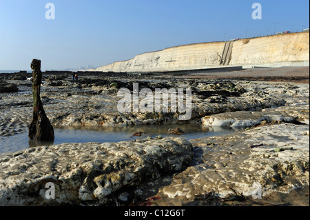 La plage à marée basse à Ovingdean Brighton sur la côte du Sussex UK Banque D'Images