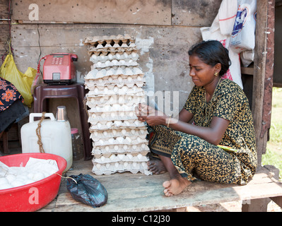 Keralite femme vend des oeufs frais à un kiosque en bordure, Kerala, Inde Banque D'Images