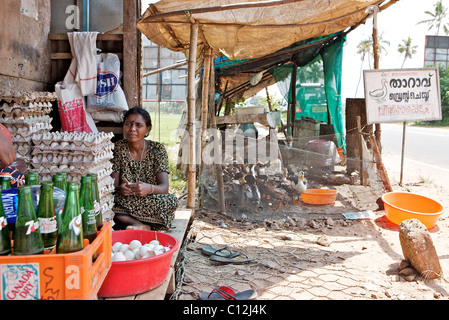 Borne routière et la vente des oeufs de canards vivants, Kerala, Inde Banque D'Images