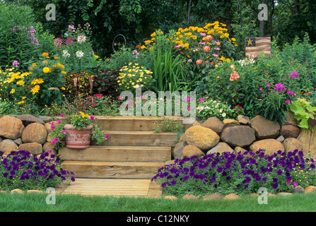 Jardin de pétunias surélevée, GIANT TAGÈTES, black-eyed, SUSANS CLEOME, IRIS ET ROSES. Midwest des États-Unis. L'été. Banque D'Images