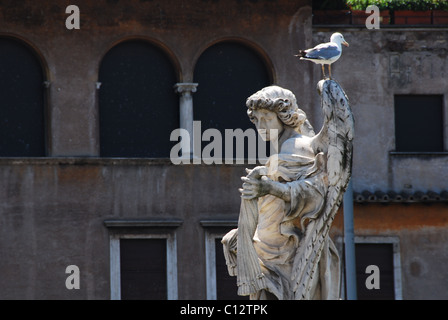 Seagull sur ange sur le pont de San Angelo, Cité du Vatican, Rome, Italie Banque D'Images