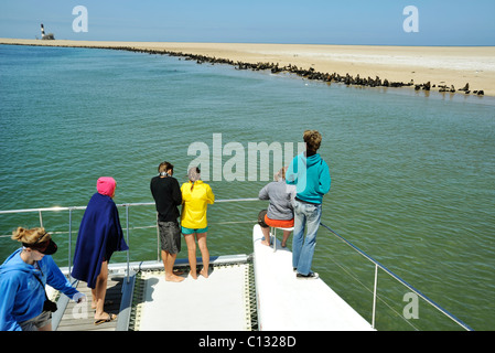 Swakopmund, Namibie, les touristes sur le pont du navire de plaisance affichage Cape fur seal colony, Arctocephalus pusillus, personnes, Plage, Paysage Banque D'Images